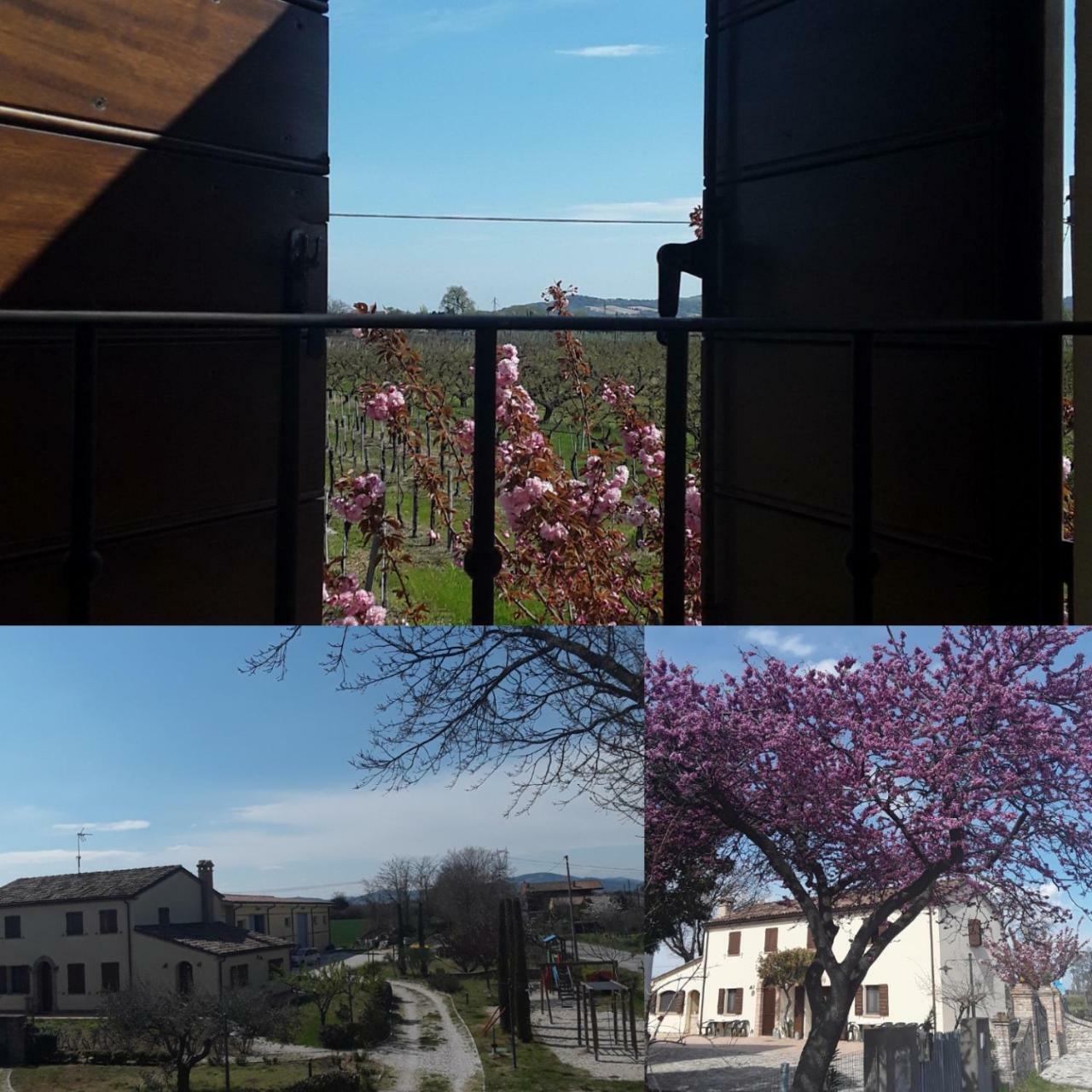Fattoria Della Bilancia Villa San Giovanni In Marignano Bagian luar foto
